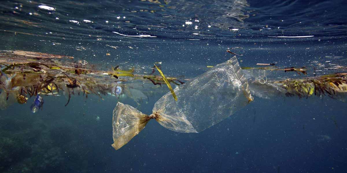 Read more about the article Fighting plastic pollution