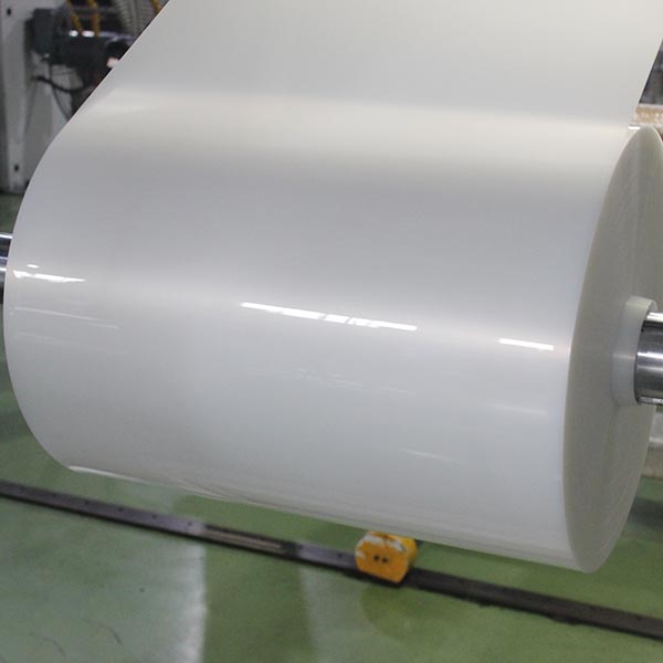 Natural Polypropylene Sheet Roll