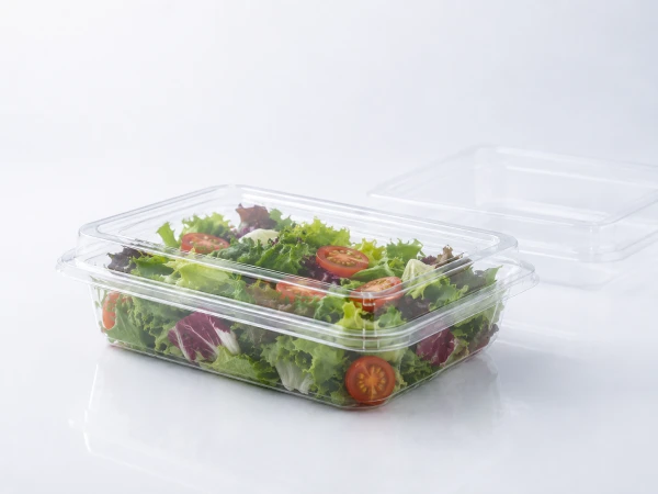 Salad container
