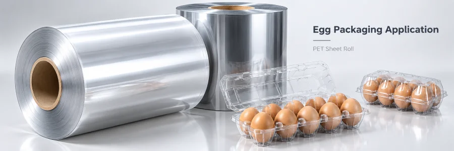 Clear PET and RPET thermoforming sheet rolls with transparent egg packaging